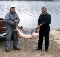 Photo of Charles Hutton
