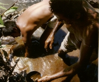 Nicaragua Oil Seep Photo