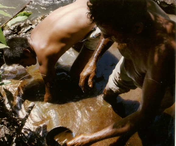 Nicaragua Oil Seep Photo