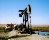 Lease Photo